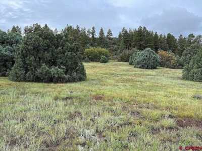 Residential Land For Sale in Pagosa Springs, Colorado
