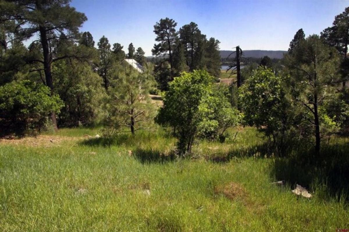 Picture of Residential Land For Sale in Pagosa Springs, Colorado, United States