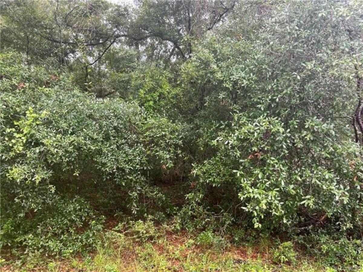 Picture of Residential Land For Sale in Dunnellon, Florida, United States