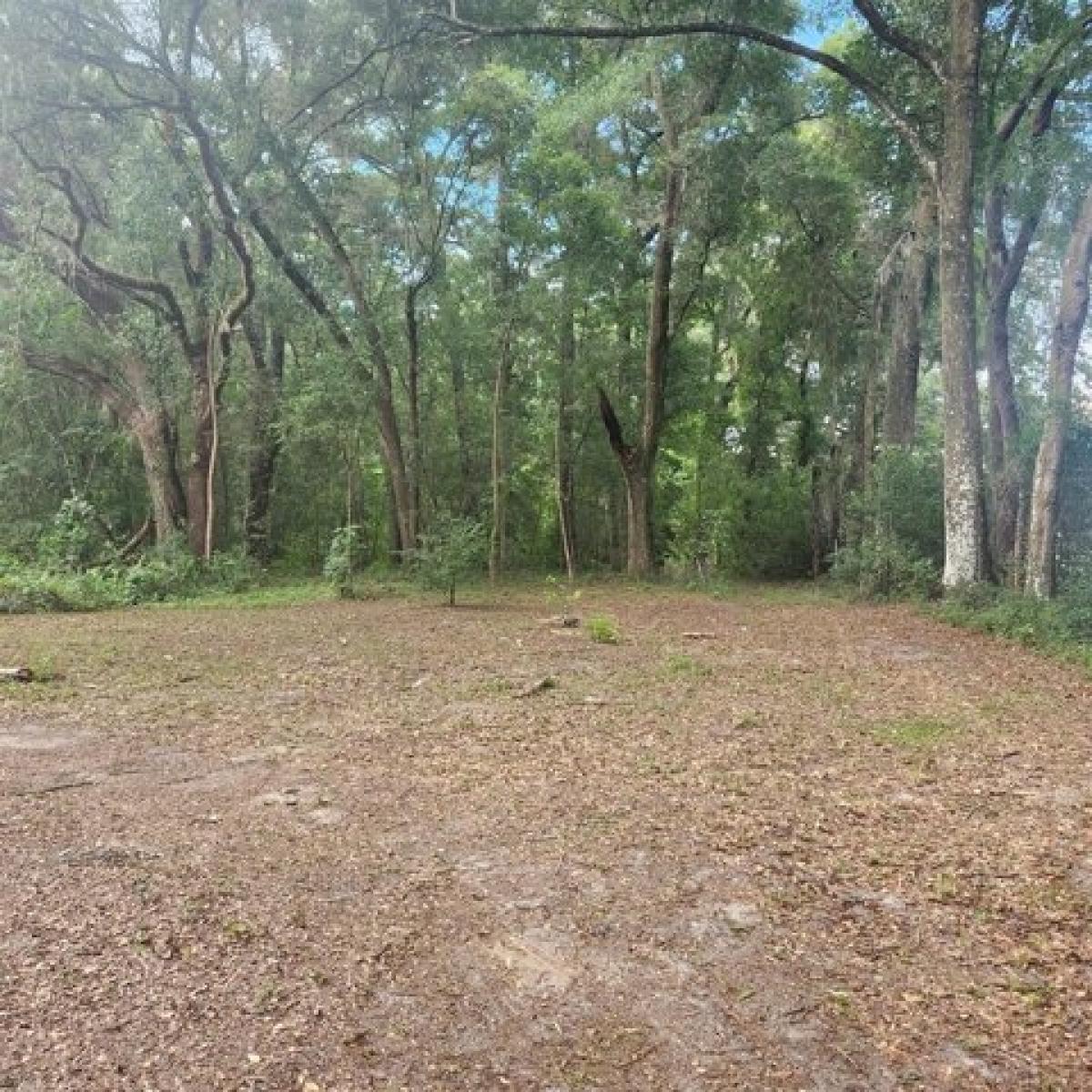 Picture of Residential Land For Sale in Ocala, Florida, United States