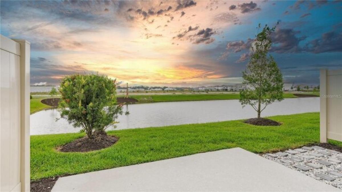 Picture of Home For Rent in Wesley Chapel, Florida, United States