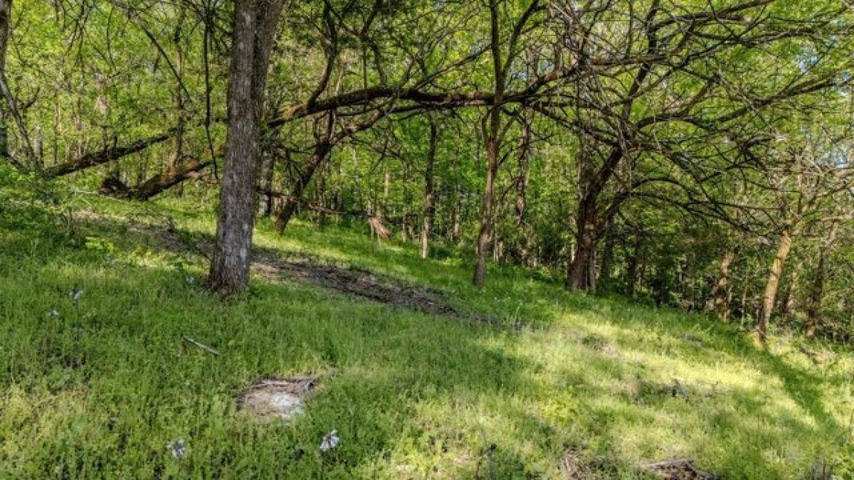 Picture of Home For Sale in Franklin, Tennessee, United States