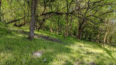 Home For Sale in Franklin, Tennessee