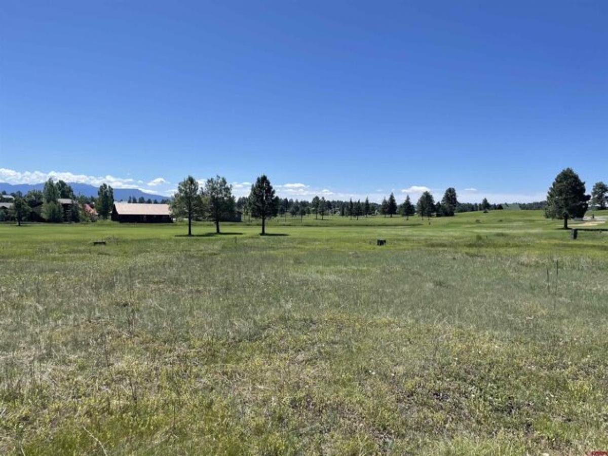 Picture of Residential Land For Sale in Pagosa Springs, Colorado, United States