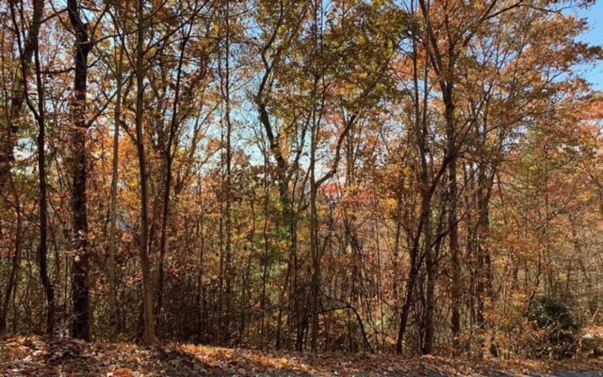 Picture of Residential Land For Sale in Hayesville, North Carolina, United States