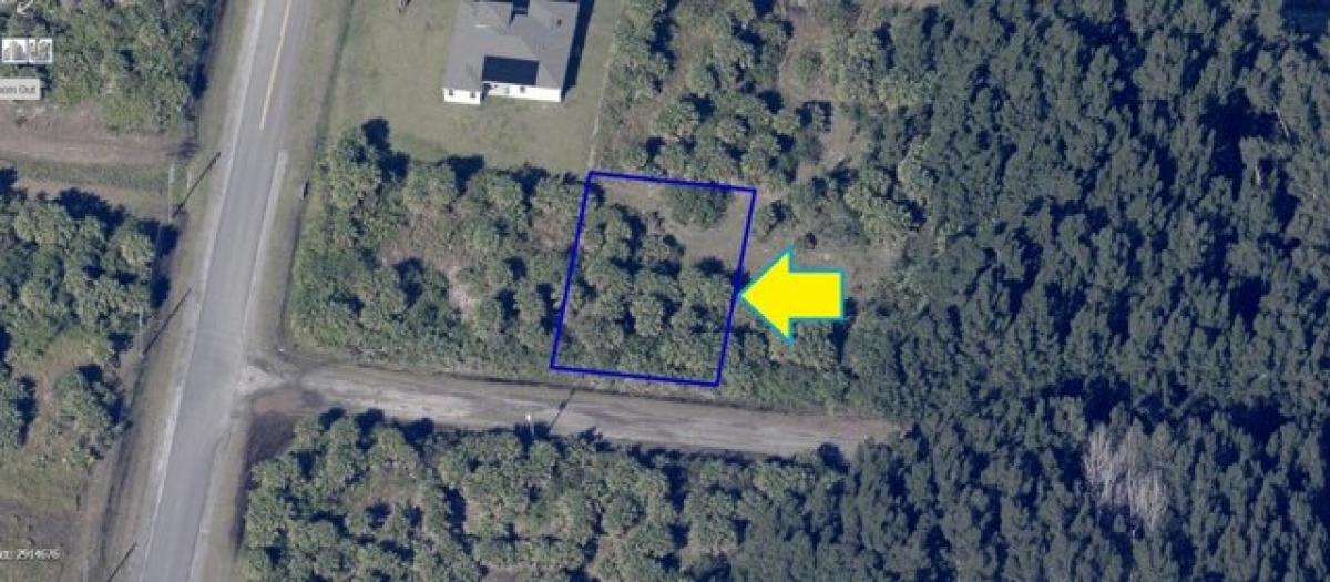 Picture of Residential Land For Sale in Palm Bay, Florida, United States