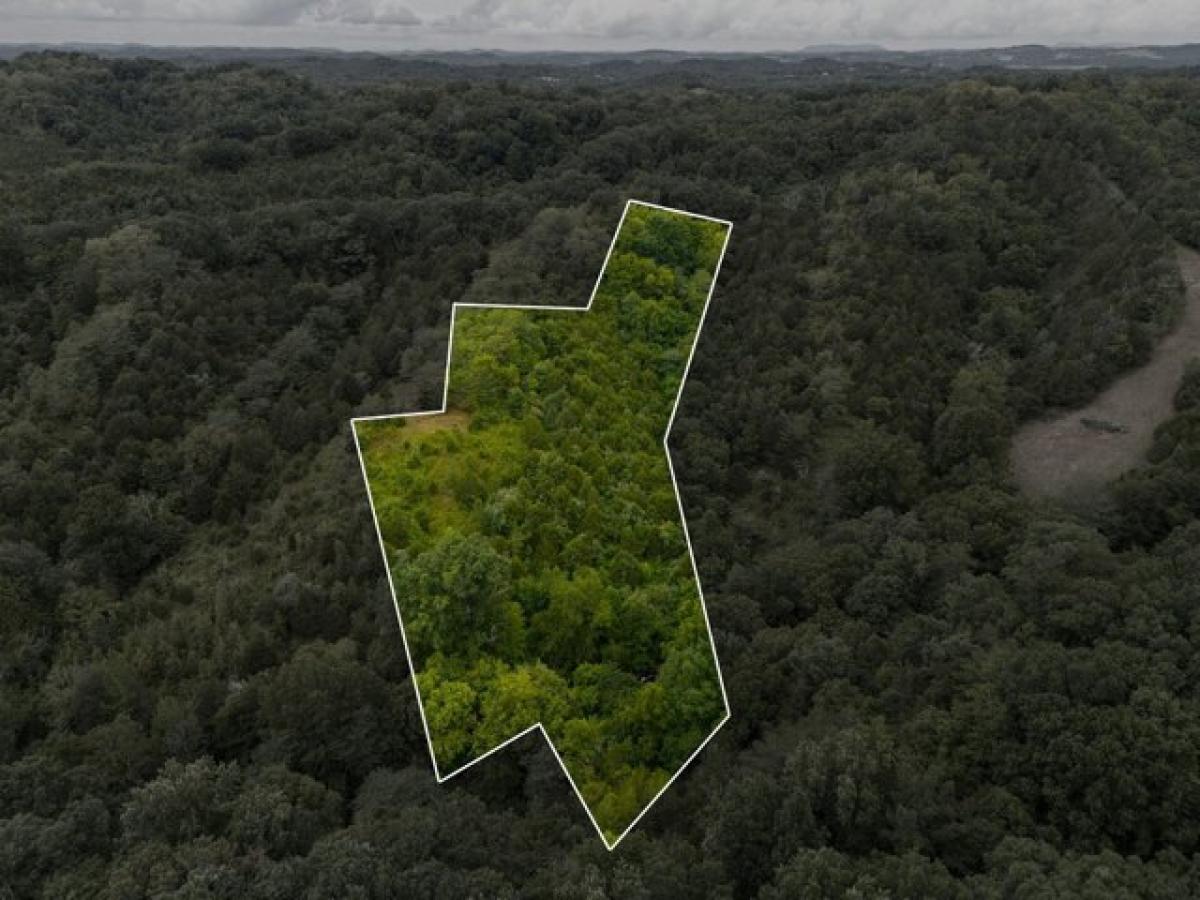 Picture of Residential Land For Sale in Sevierville, Tennessee, United States