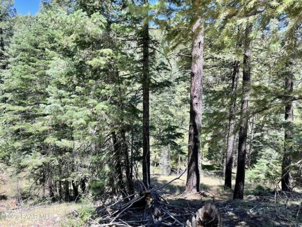 Picture of Residential Land For Sale in Prescott, Arizona, United States