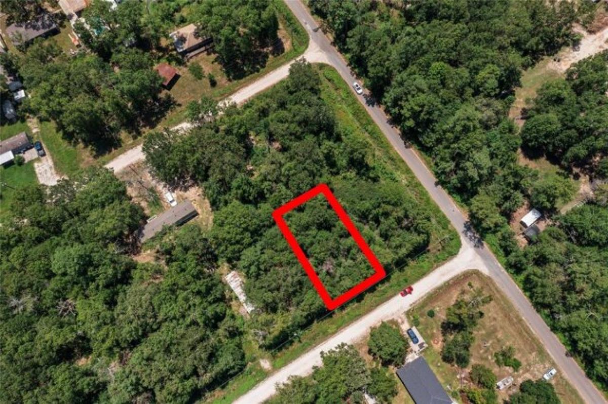 Picture of Residential Land For Sale in Livingston, Texas, United States