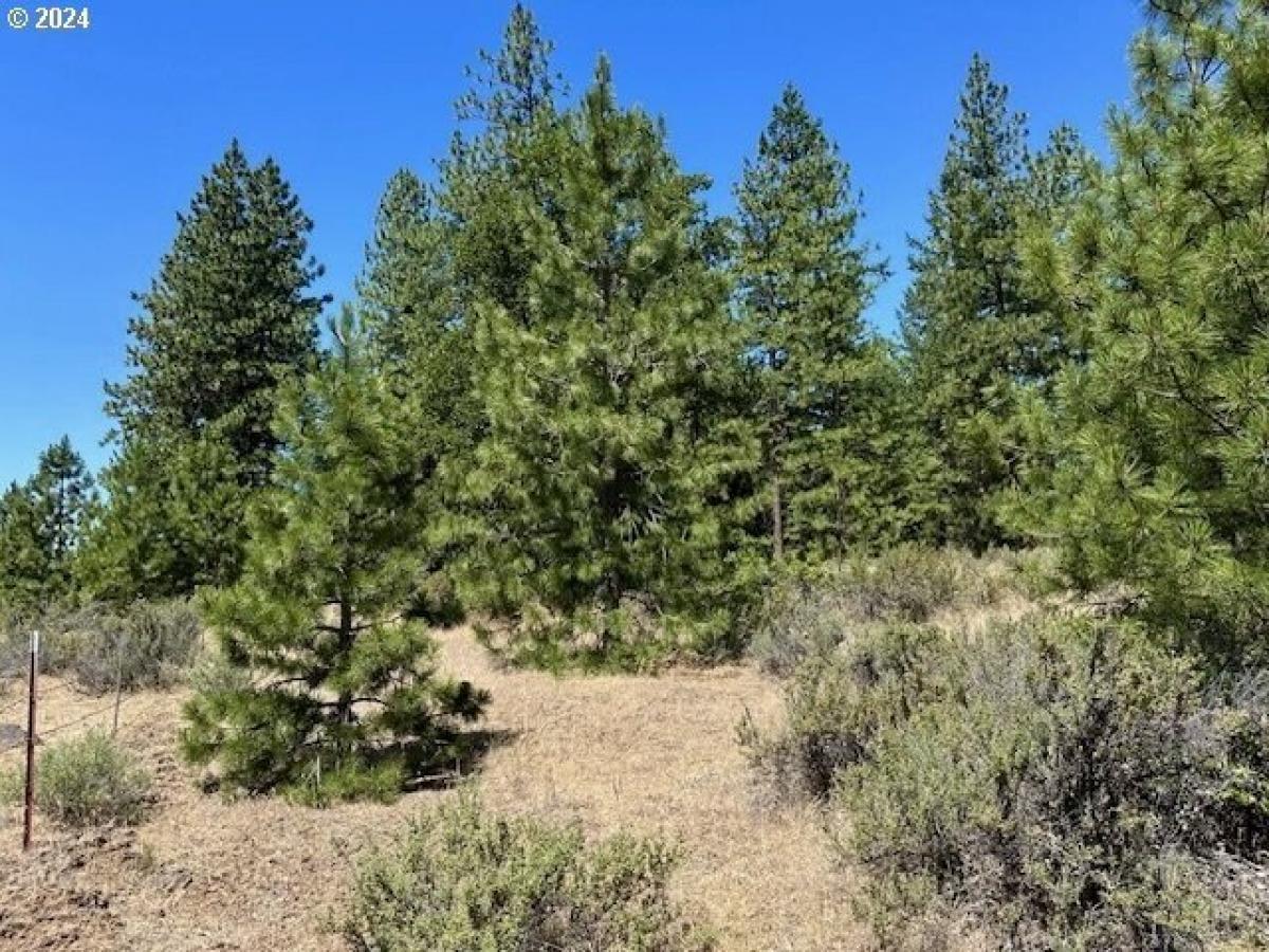 Picture of Residential Land For Sale in Goldendale, Washington, United States
