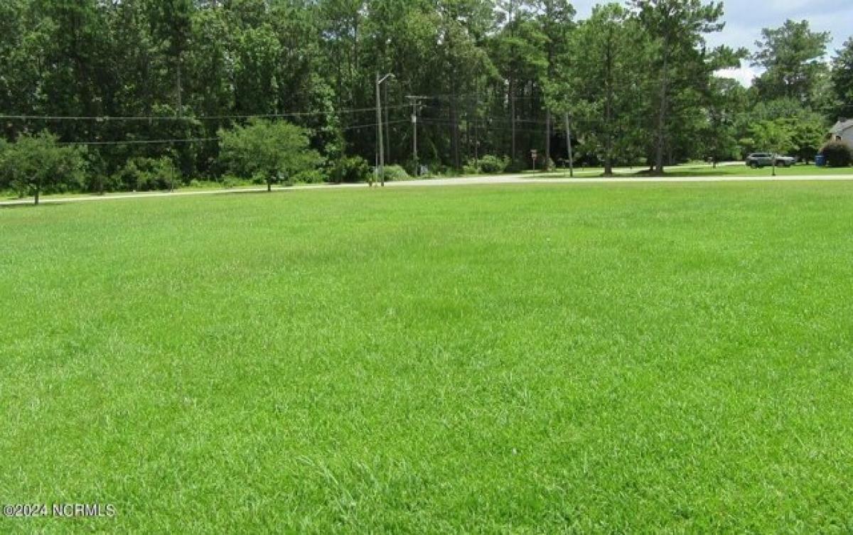 Picture of Residential Land For Sale in Oriental, North Carolina, United States