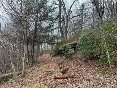 Residential Land For Sale in Hendersonville, North Carolina