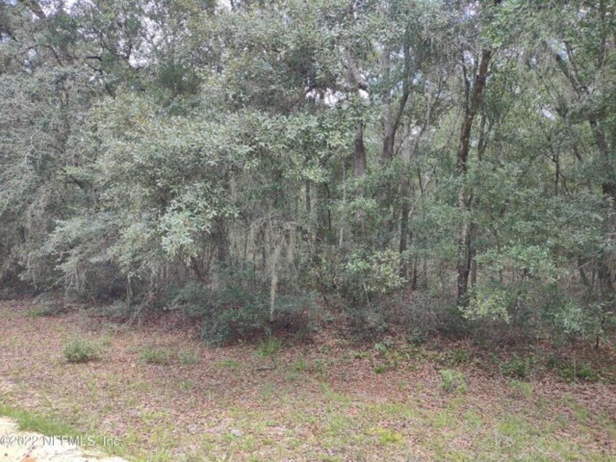 Picture of Residential Land For Rent in Interlachen, Florida, United States