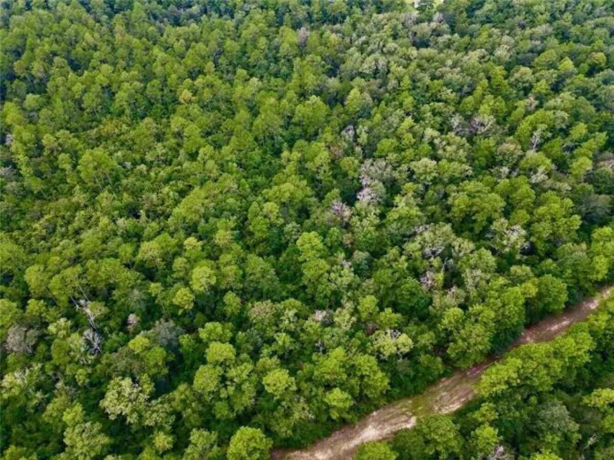 Picture of Residential Land For Sale in Saraland, Alabama, United States