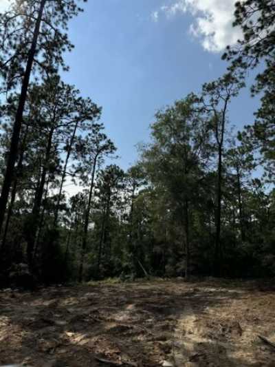 Residential Land For Sale in Brookeland, Texas