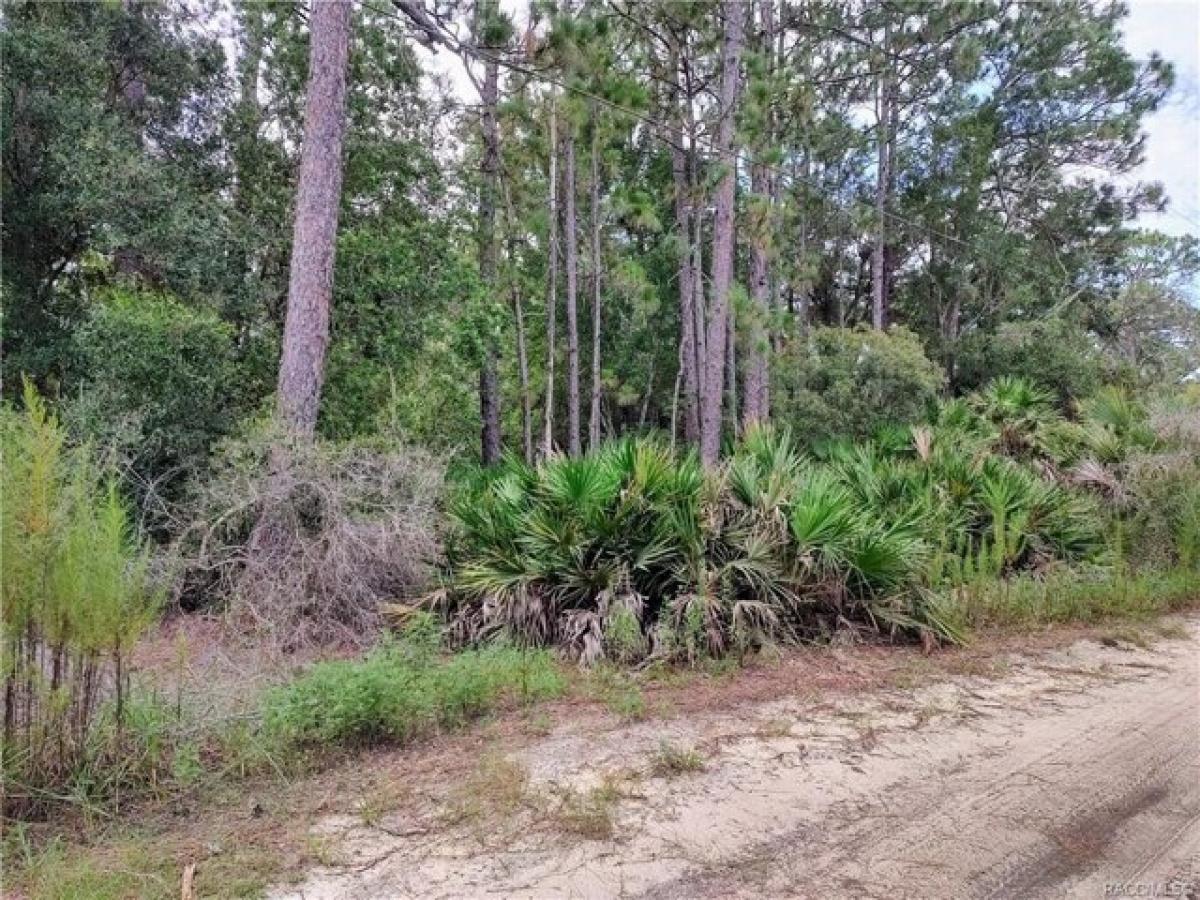 Picture of Residential Land For Sale in Crystal River, Florida, United States