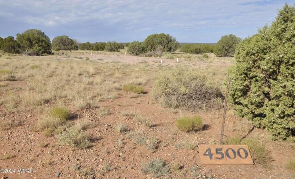 Picture of Residential Land For Sale in Snowflake, Arizona, United States