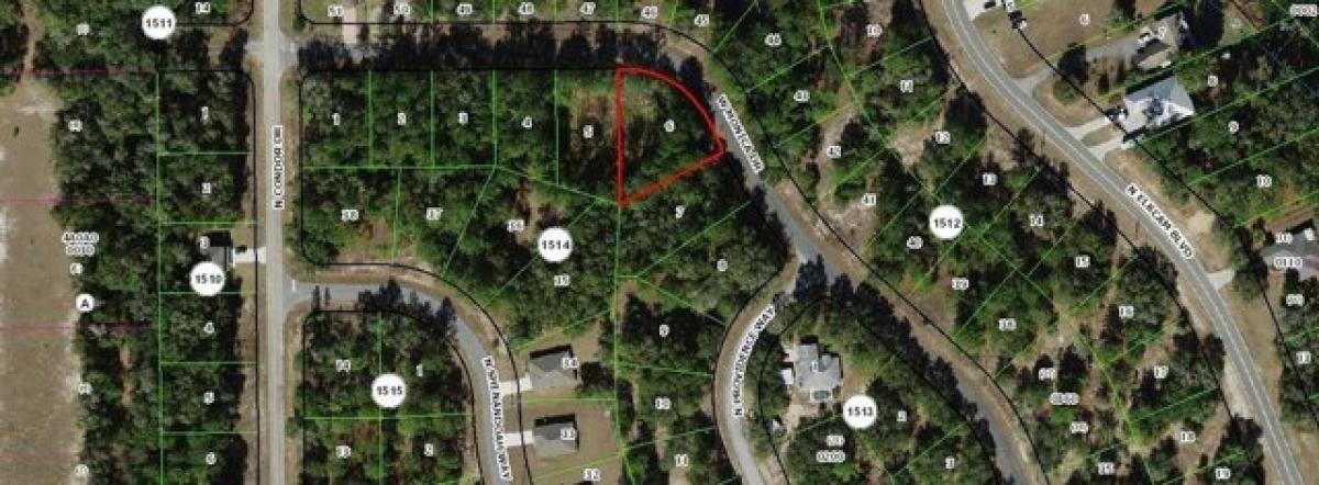 Picture of Residential Land For Sale in Citrus Springs, Florida, United States