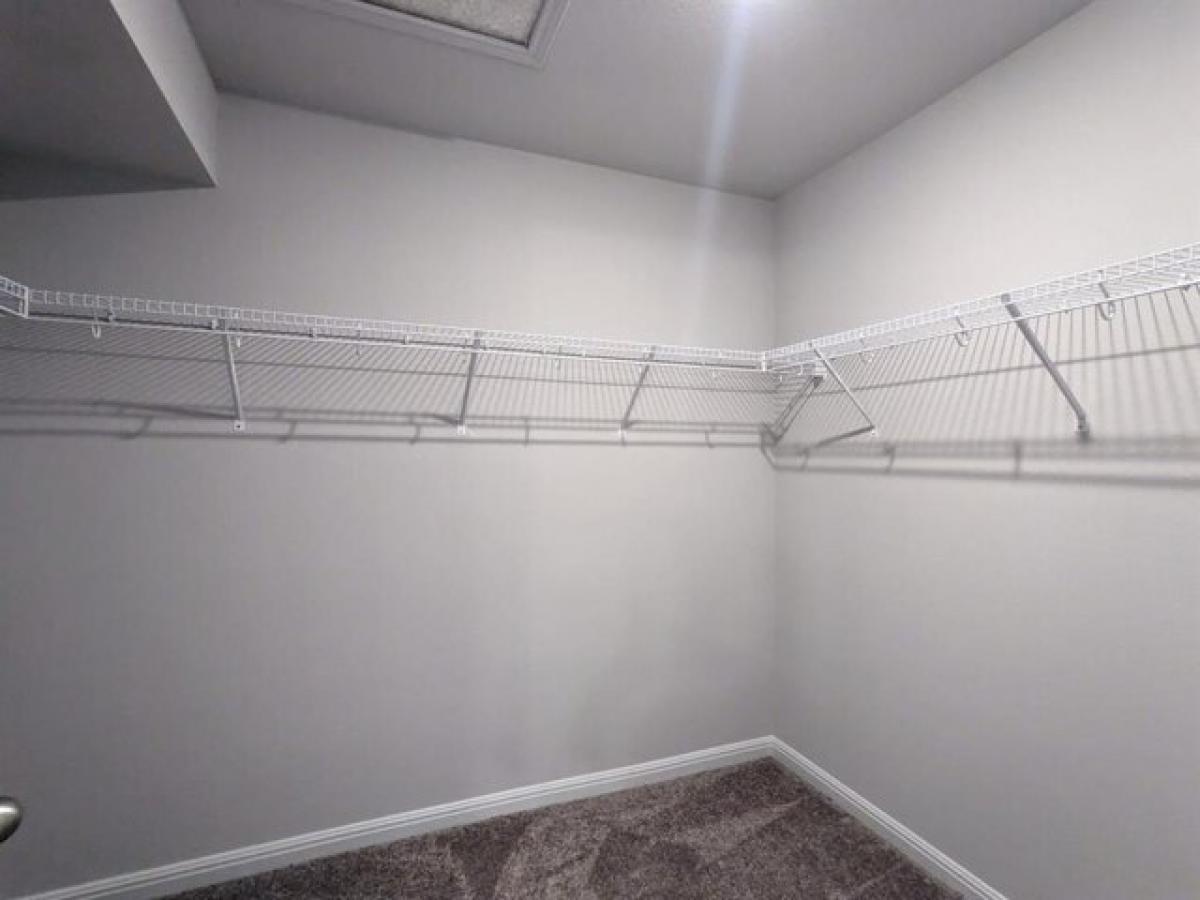 Picture of Home For Rent in Kyle, Texas, United States