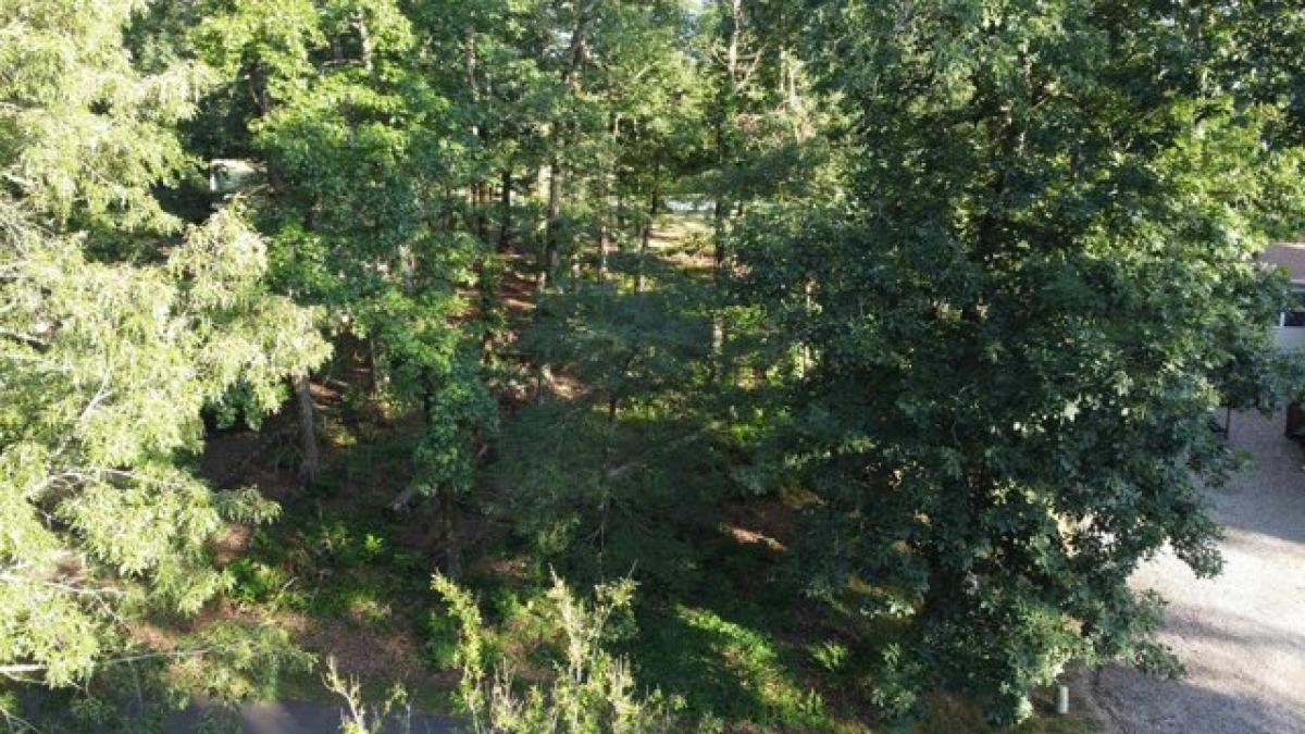 Picture of Residential Land For Sale in Hot Springs Village, Arkansas, United States