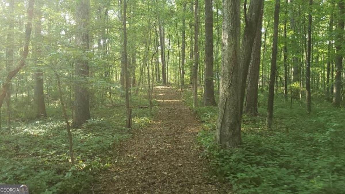 Picture of Residential Land For Sale in Griffin, Georgia, United States