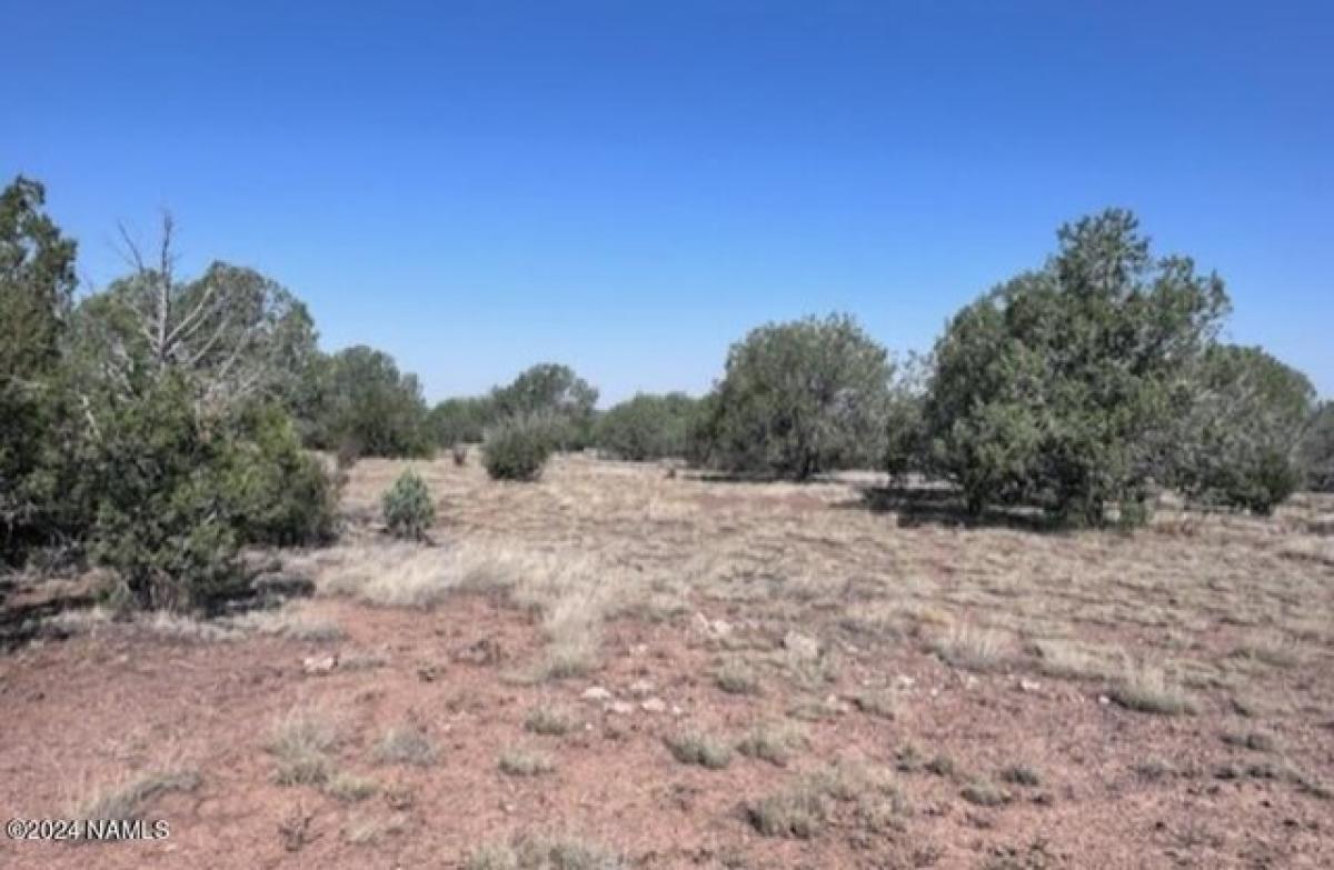 Picture of Residential Land For Sale in Ash Fork, Arizona, United States