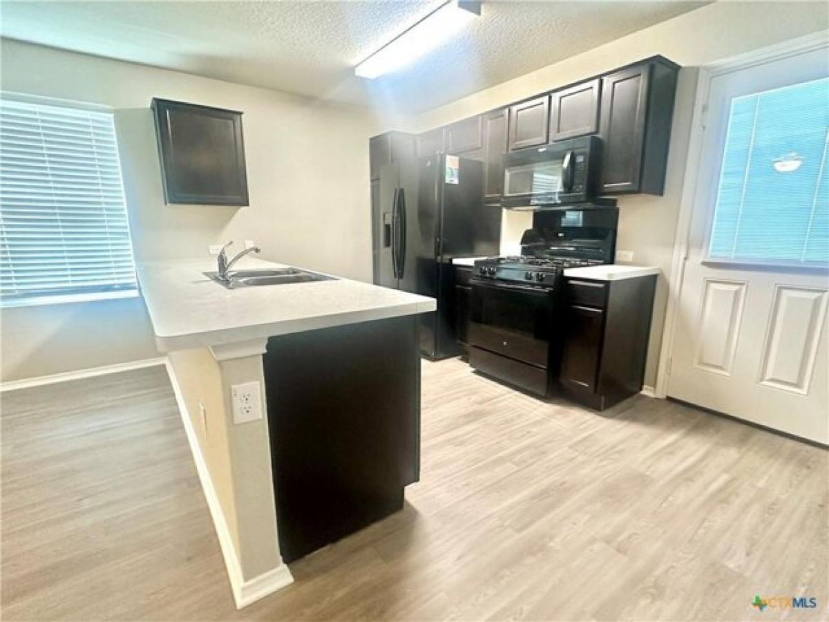 Picture of Home For Rent in New Braunfels, Texas, United States