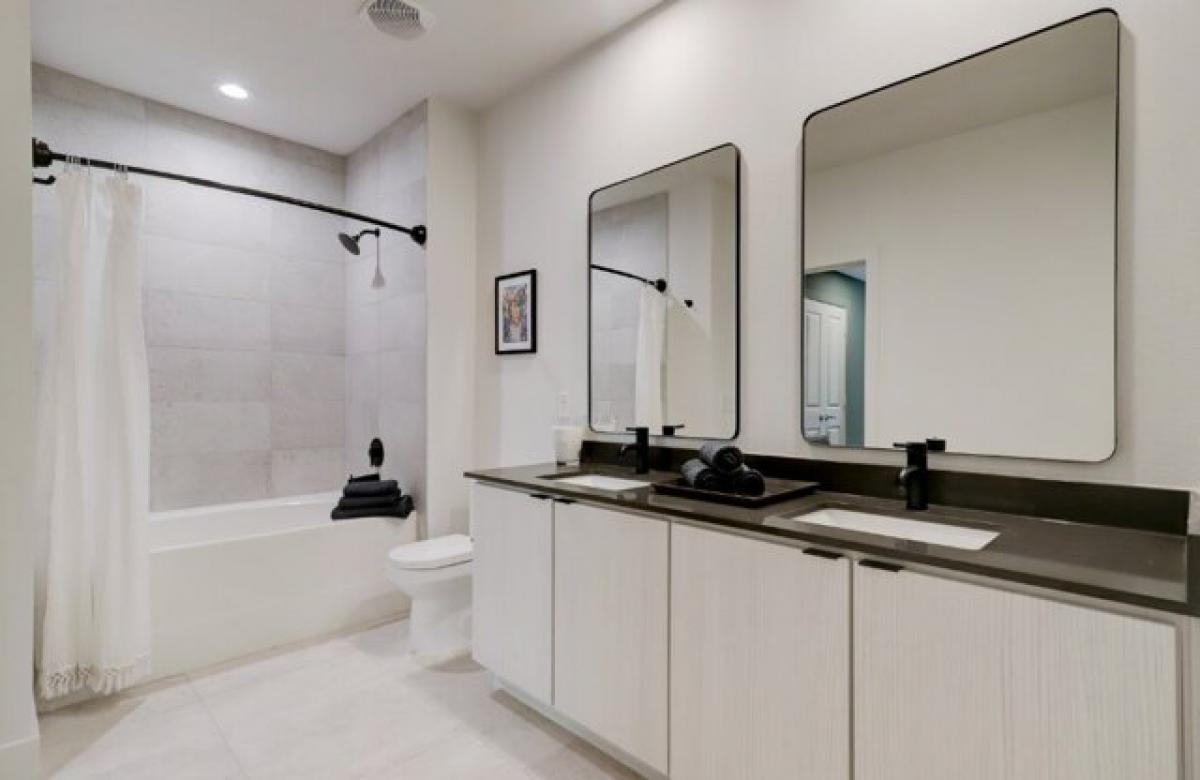 Picture of Apartment For Rent in Houston, Texas, United States