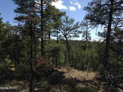 Residential Land For Sale in Show Low, Arizona