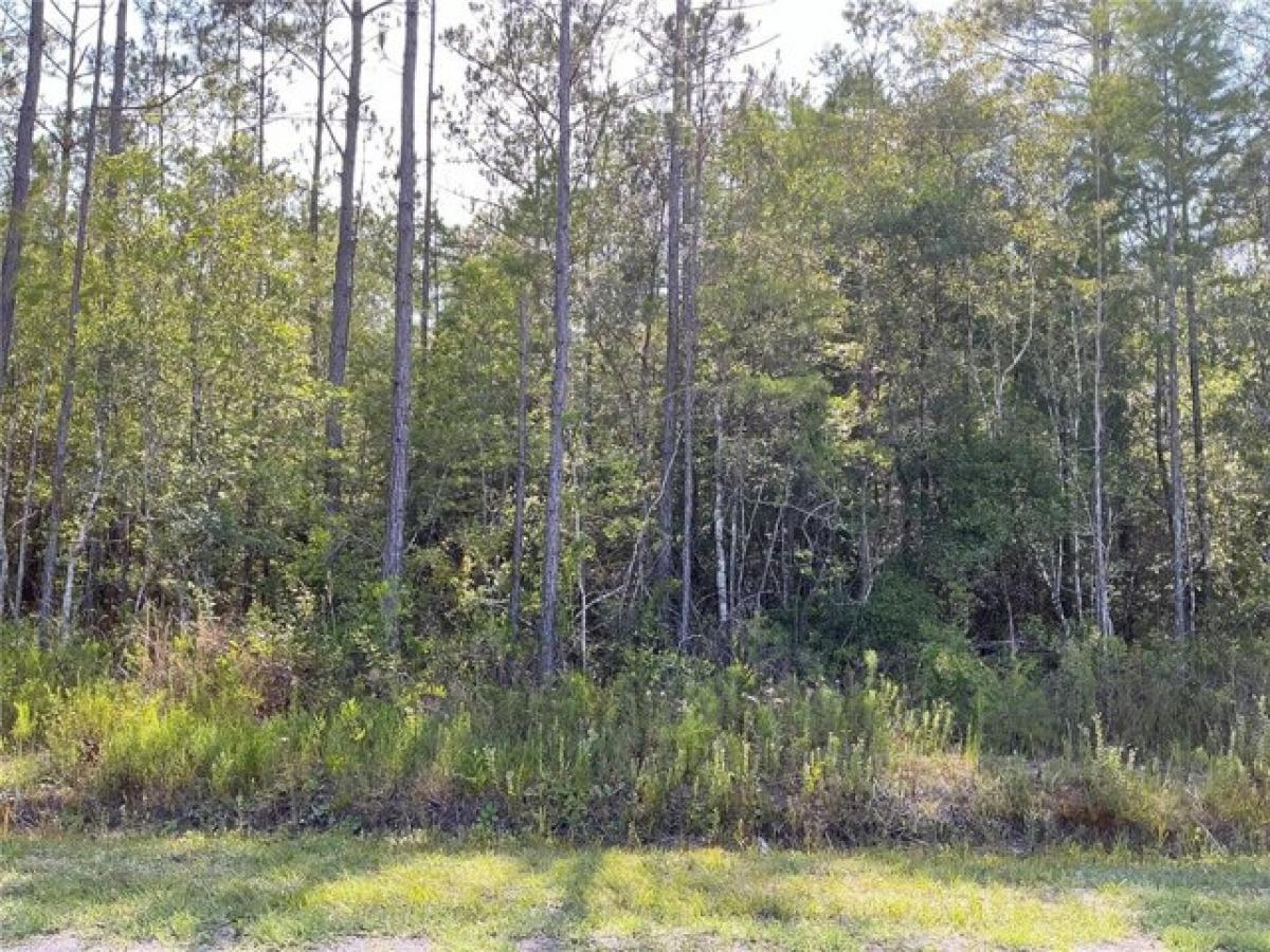 Picture of Residential Land For Sale in Hastings, Florida, United States