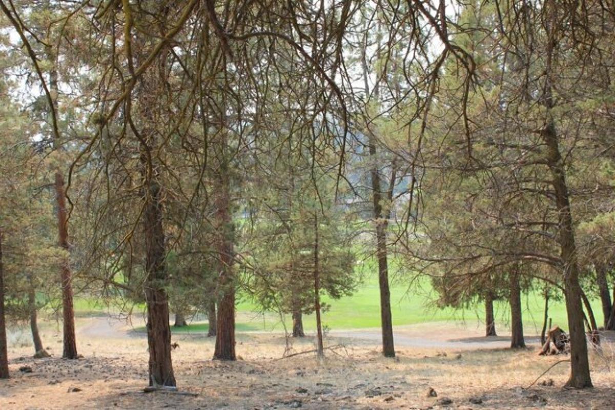 Picture of Residential Land For Sale in Klamath Falls, Oregon, United States