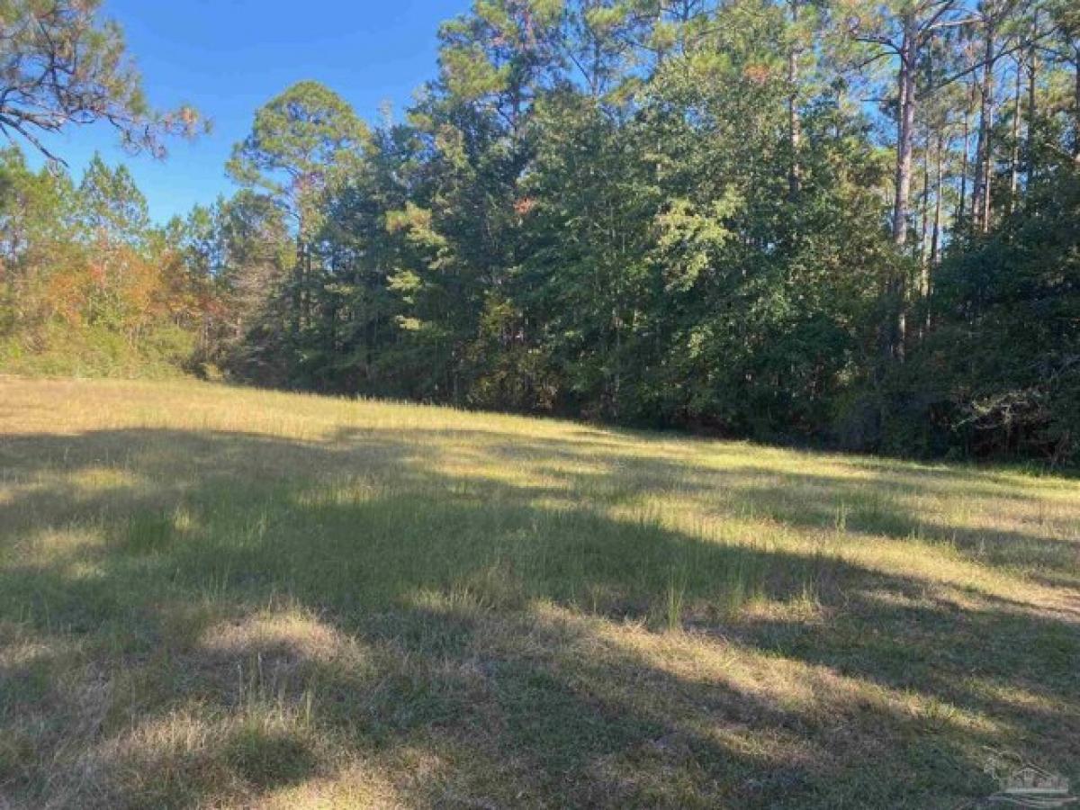Picture of Residential Land For Sale in Milton, Florida, United States