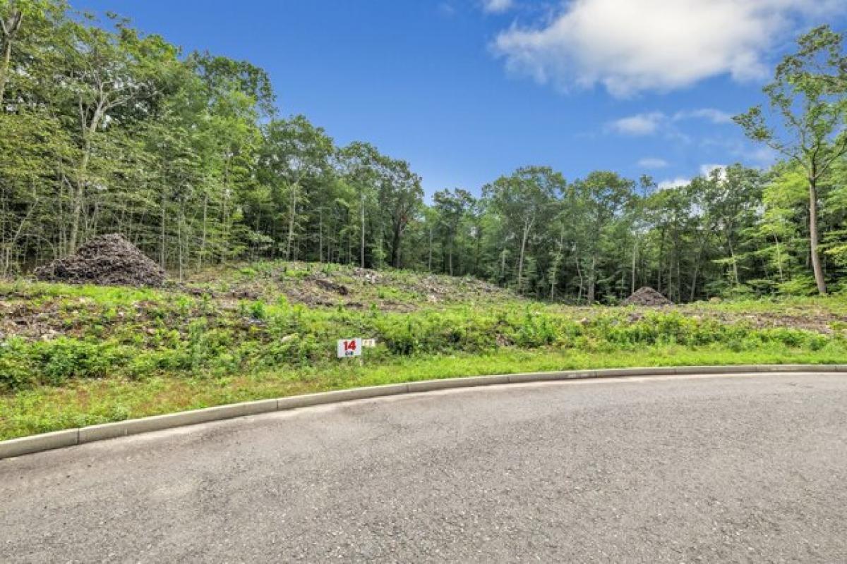Picture of Residential Land For Sale in Middlebury, Connecticut, United States