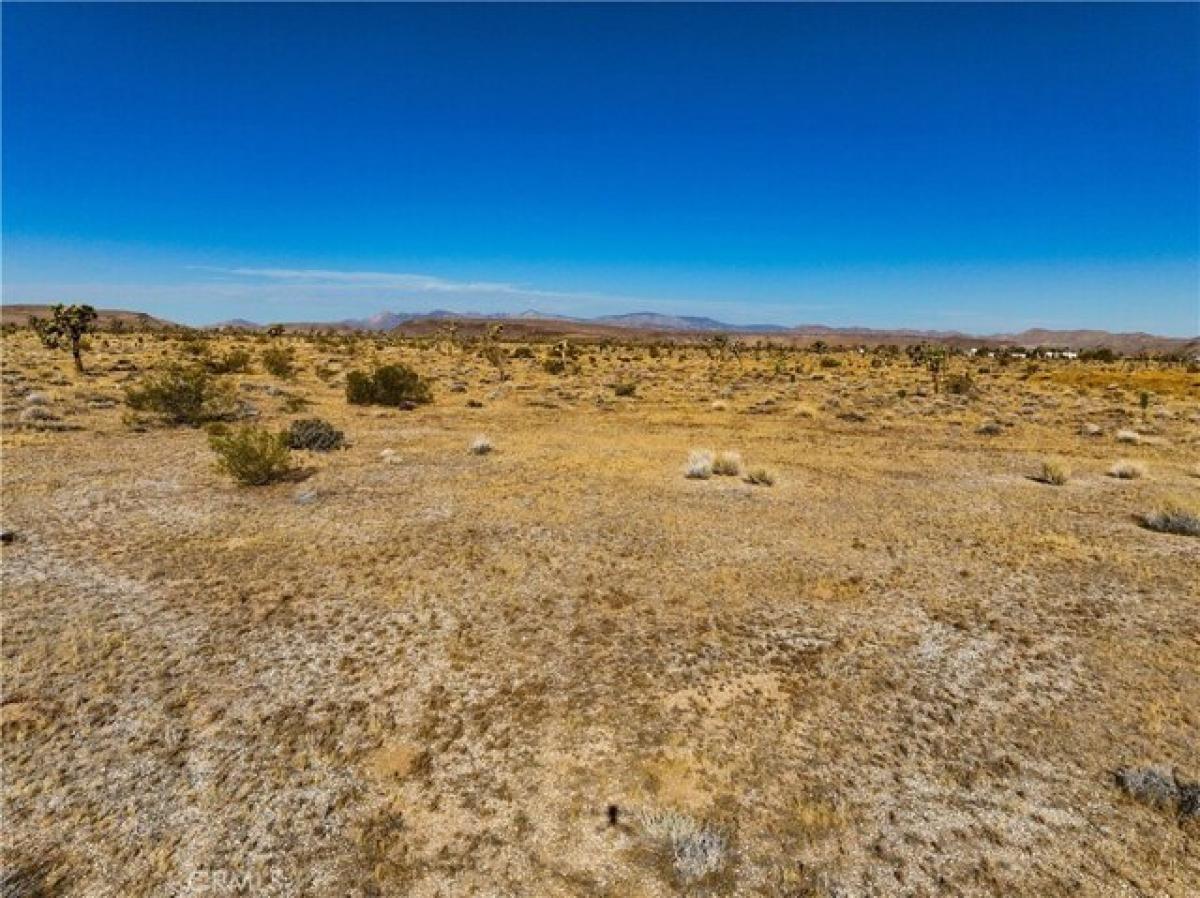 Picture of Residential Land For Sale in Yucca Valley, California, United States