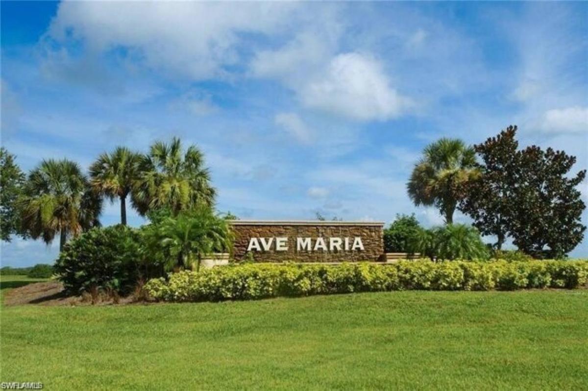Picture of Home For Rent in Ave Maria, Florida, United States