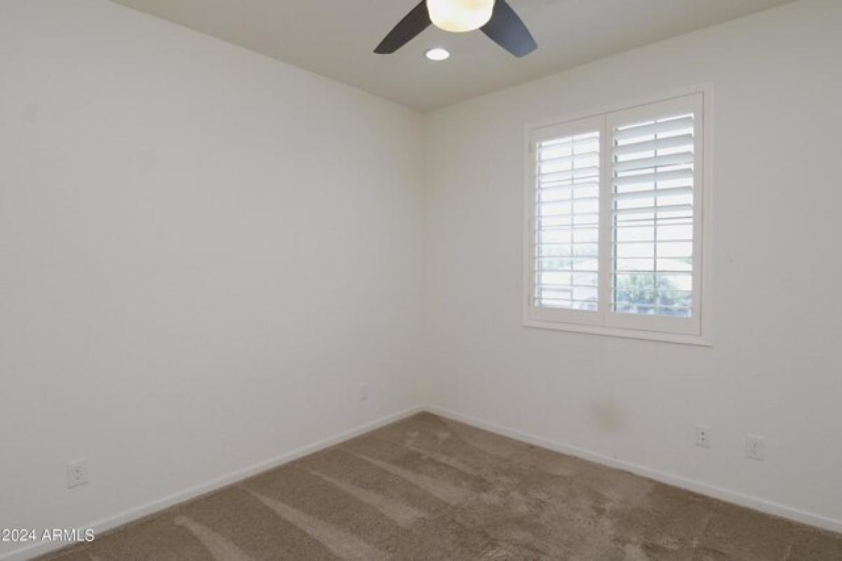 Picture of Home For Rent in Chandler, Arizona, United States