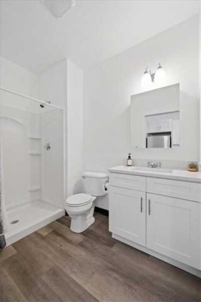 Apartment For Rent in 