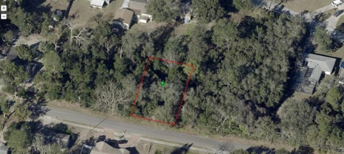 Picture of Residential Land For Sale in Debary, Florida, United States