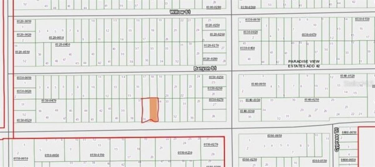 Picture of Residential Land For Rent in Interlachen, Florida, United States