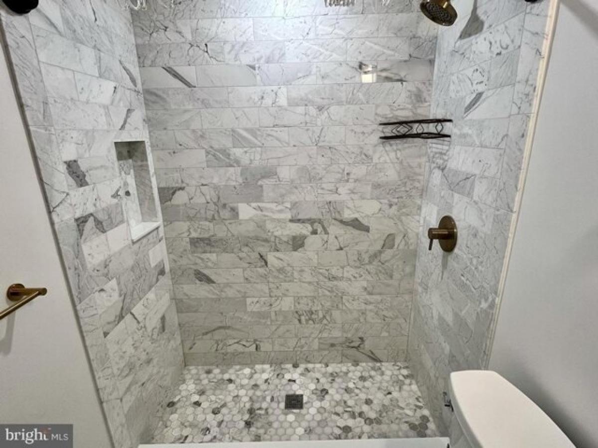 Picture of Apartment For Rent in Bryn Mawr, Pennsylvania, United States