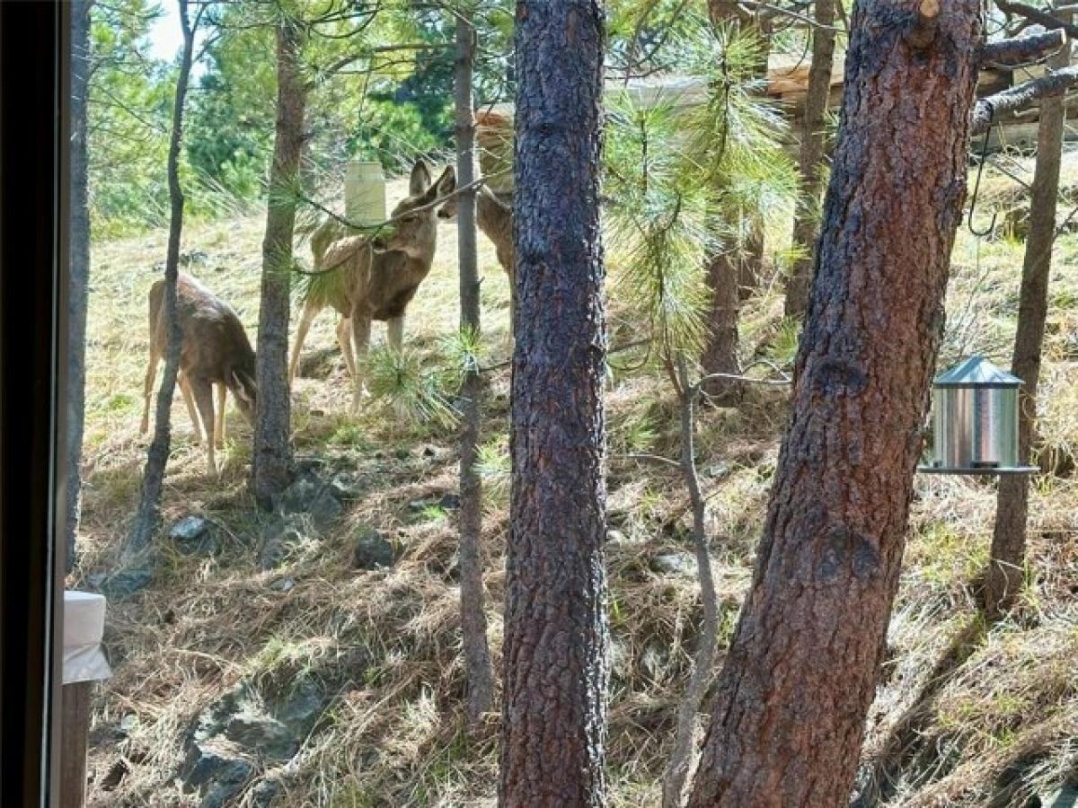 Picture of Home For Sale in Helena, Montana, United States