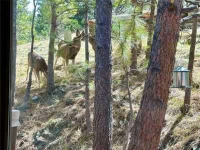 Home For Sale in Helena, Montana