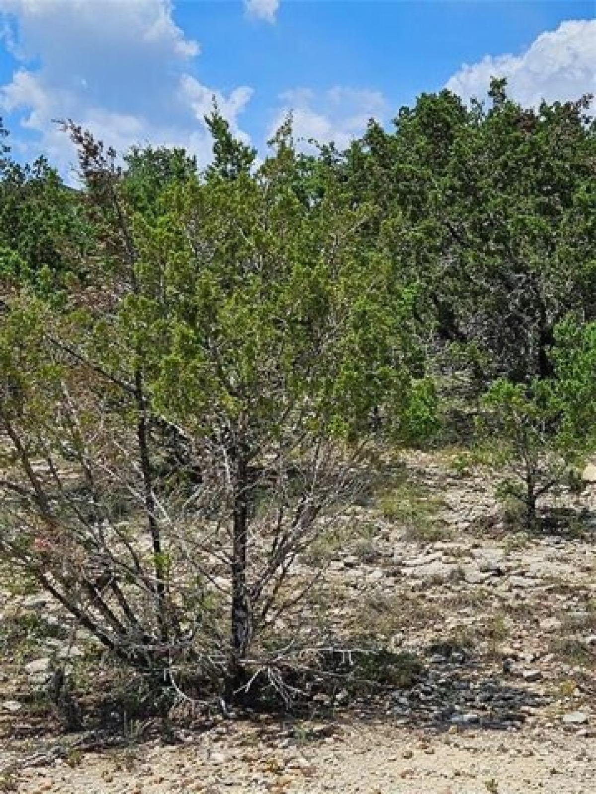 Picture of Residential Land For Sale in Lago Vista, Texas, United States