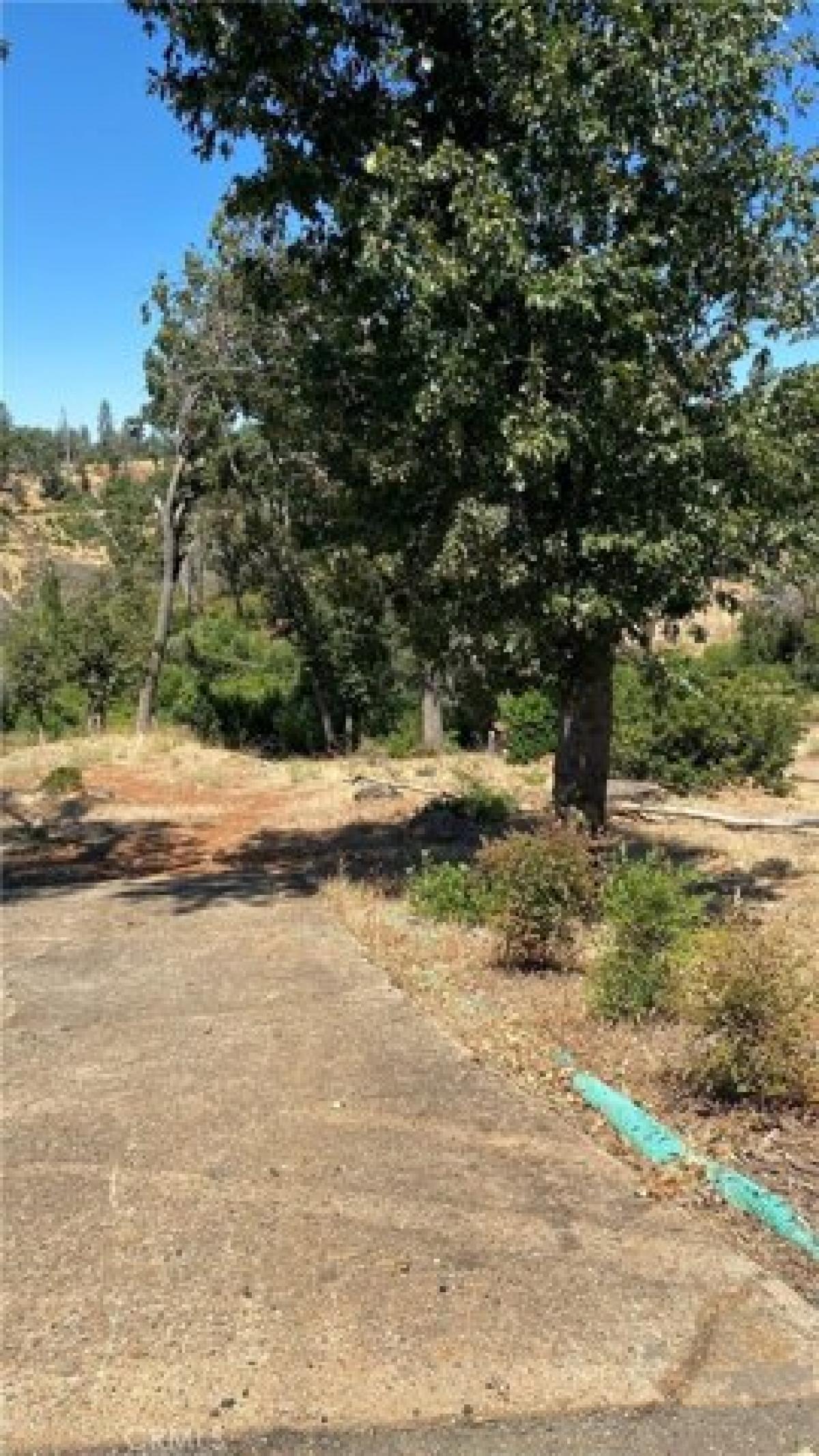 Picture of Residential Land For Sale in Paradise, California, United States