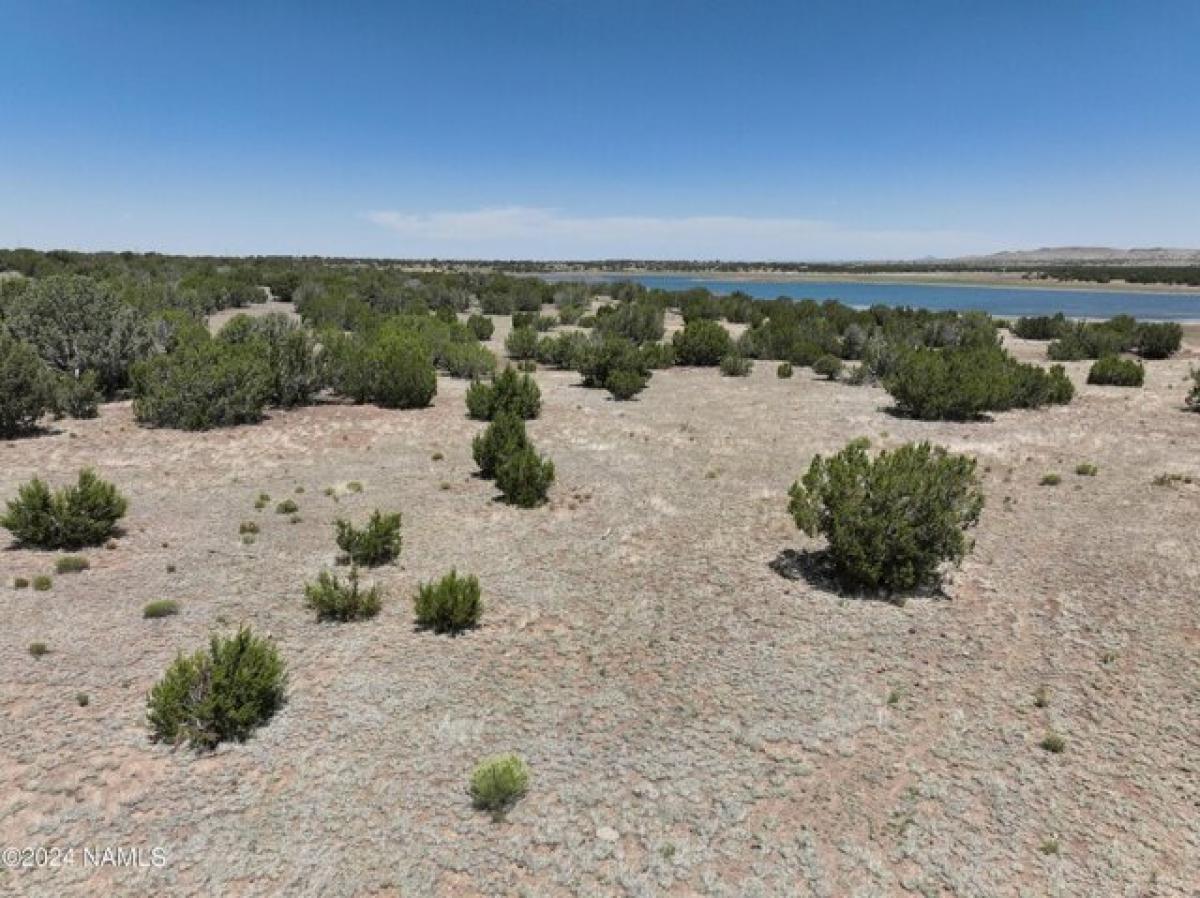 Picture of Residential Land For Sale in Williams, Arizona, United States
