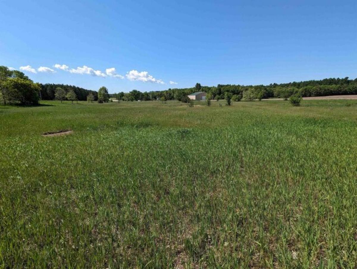 Picture of Residential Land For Sale in Waupaca, Wisconsin, United States