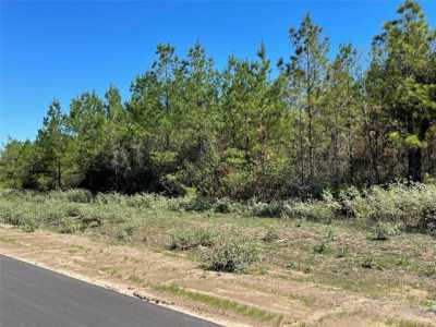 Residential Land For Sale in Willis, Texas