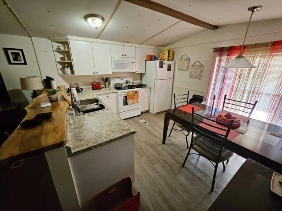 Picture of Home For Sale in New Port Richey, Florida, United States