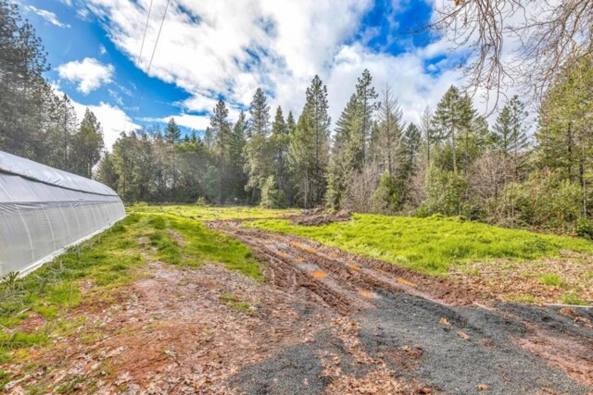 Picture of Home For Sale in Grants Pass, Oregon, United States