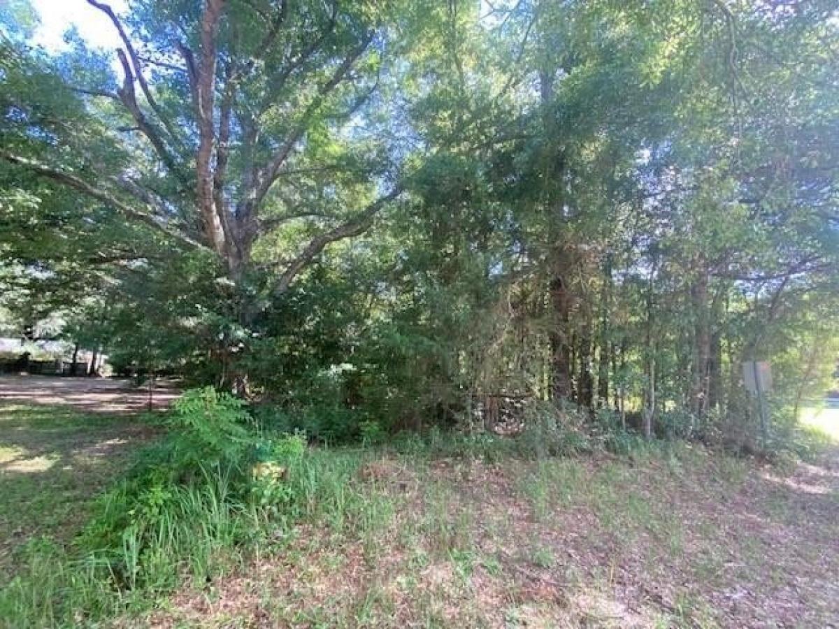 Picture of Residential Land For Sale in Mobile, Alabama, United States